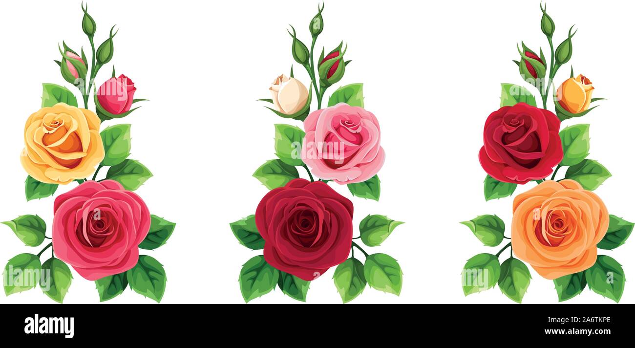 Orange Yellow Roses Graphics Vector set of branches of red, pink, orange and yellow roses isolated ...
