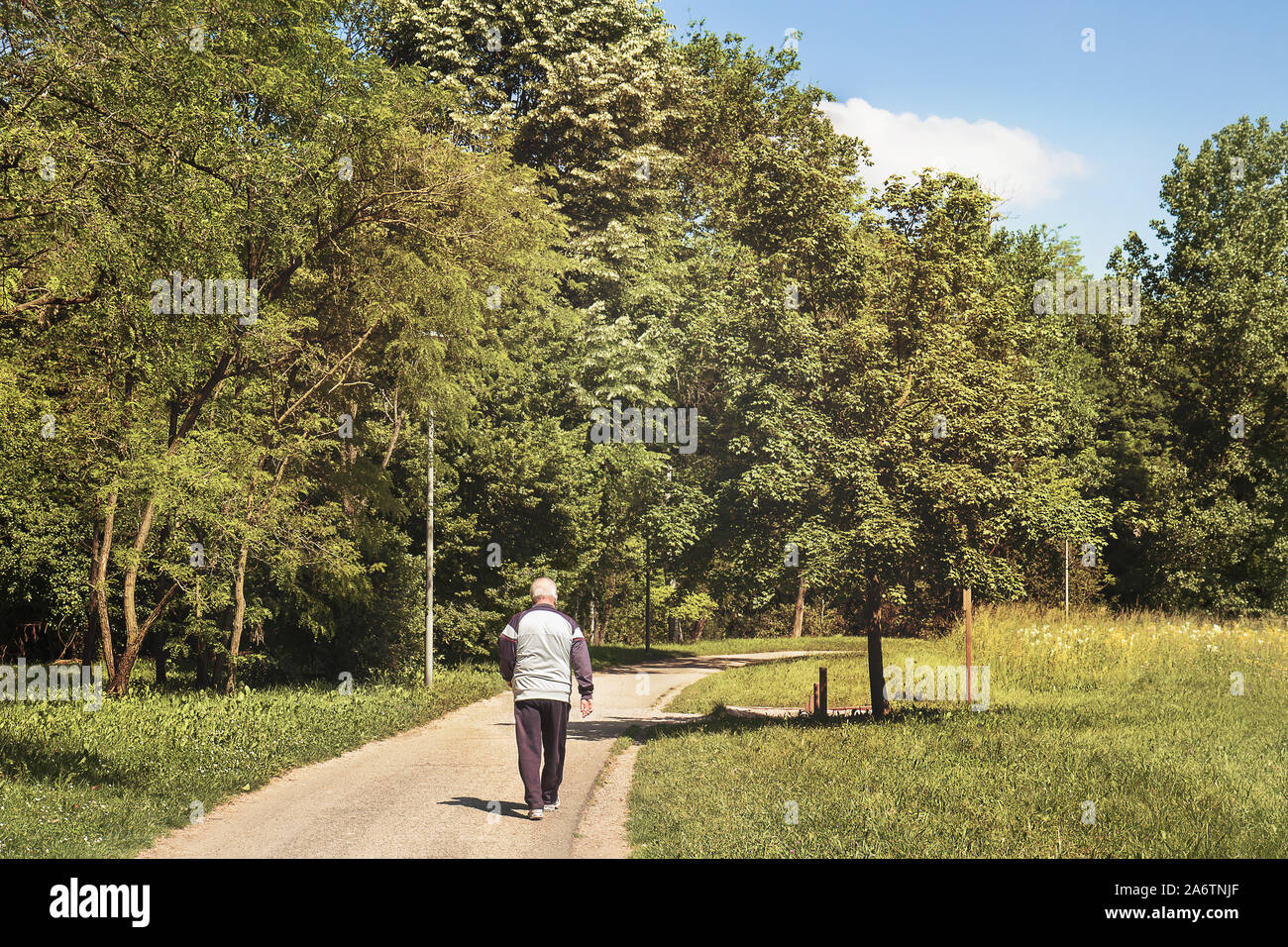 back view of senior man walking, old person at park Stock Photo - Alamy