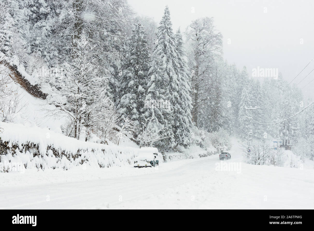 Snowy road among pine trees in winter with an SUV parked Stock Photo ...