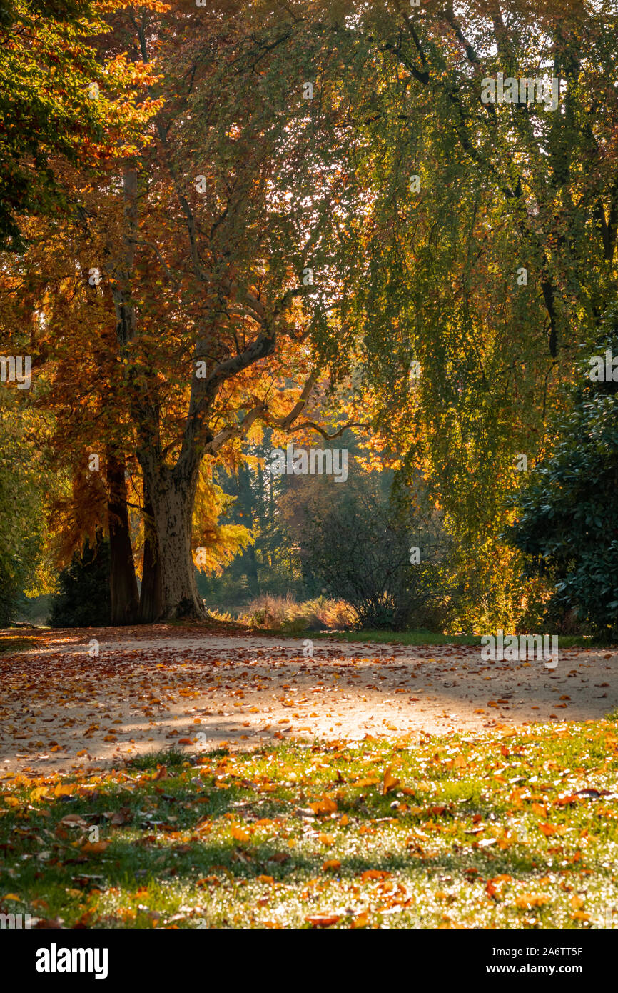 Beautiful autumn landscape with pleasant warm sunny light. Picture taken in Bad Muskau park, Saxony, Germany. UNESCO World Heritage Site. Stock Photo