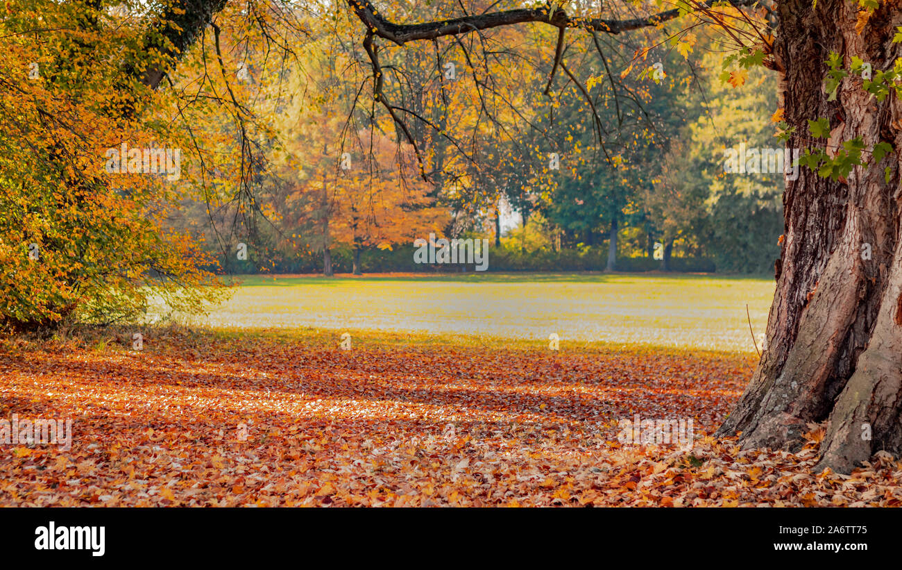 Beautiful autumn landscape with pleasant warm sunny light. Picture taken in Bad Muskau park, Saxony, Germany. UNESCO World Heritage Site. Stock Photo
