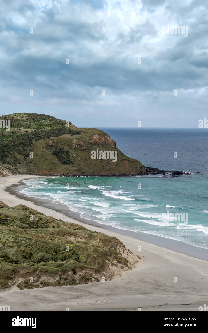 New Zealand's Otago Peninsula. Sanfly beach and Pacific Coast. Stock Photo