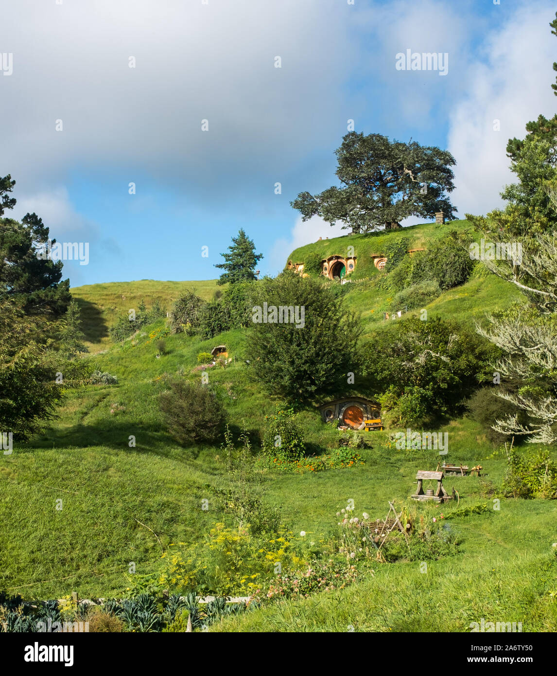 Green grass and rolling hills at the Hobbiton movie set location Stock Photo