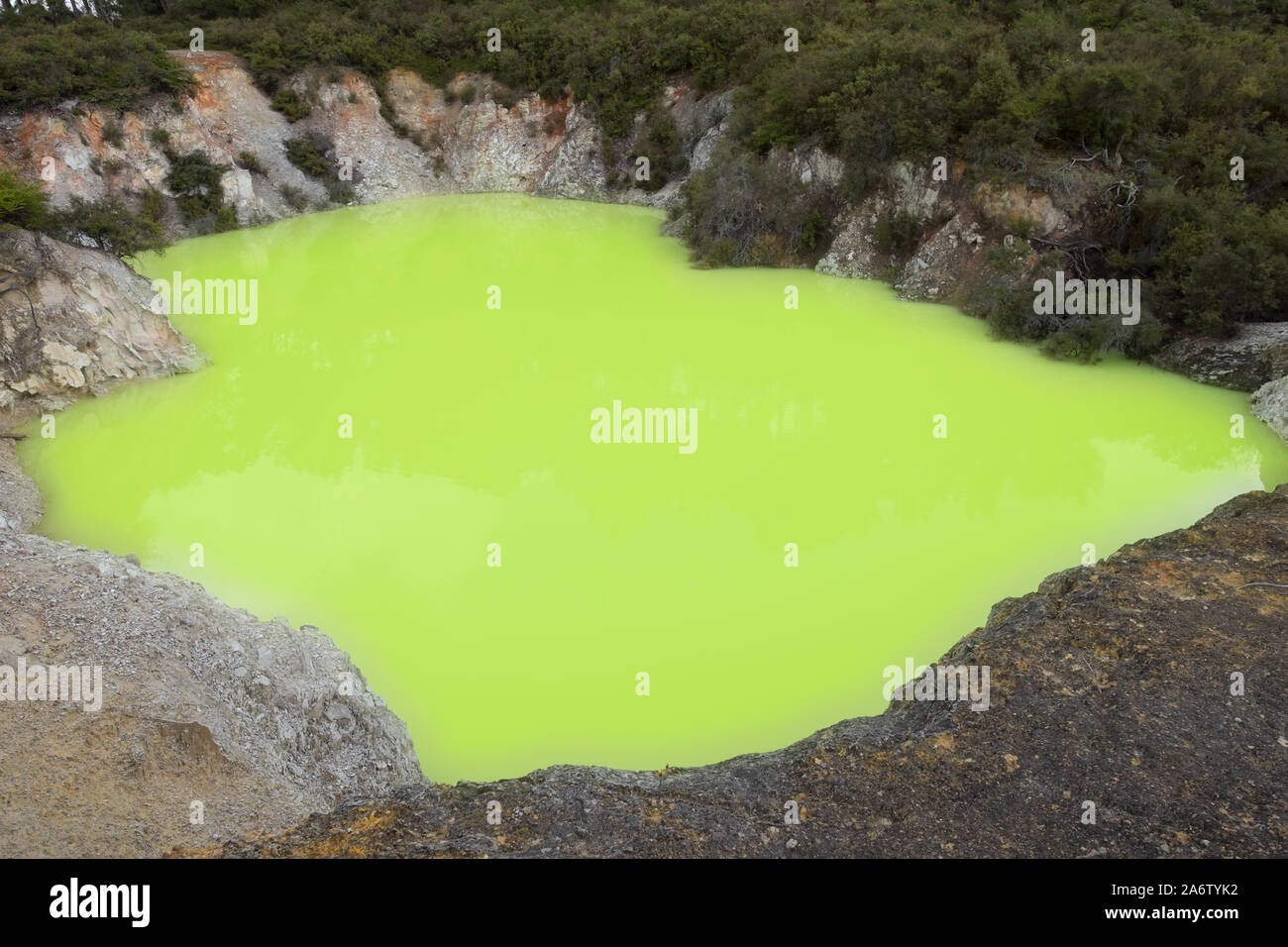 Roto Karikitea sulphur lake, or ‘the devil's bath’, showcasing vivid acid green colors in Wai-O-Tapu geothermal area in Rotorua, New Zealand Stock Photo
