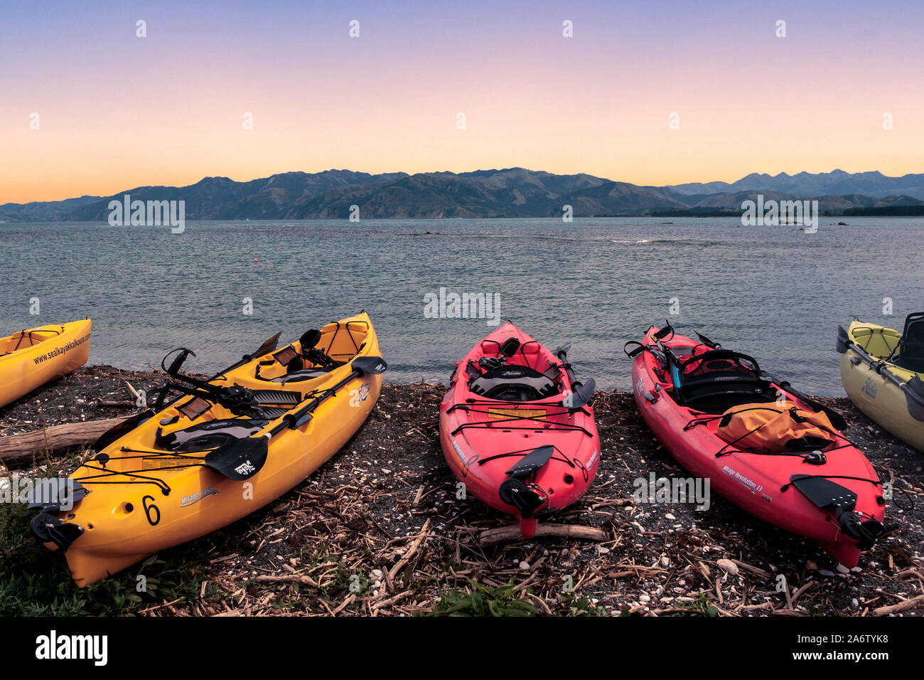 Lineup of colorful pedal kayaks on the pacific coast near Kaikoura at sunset Stock Photo