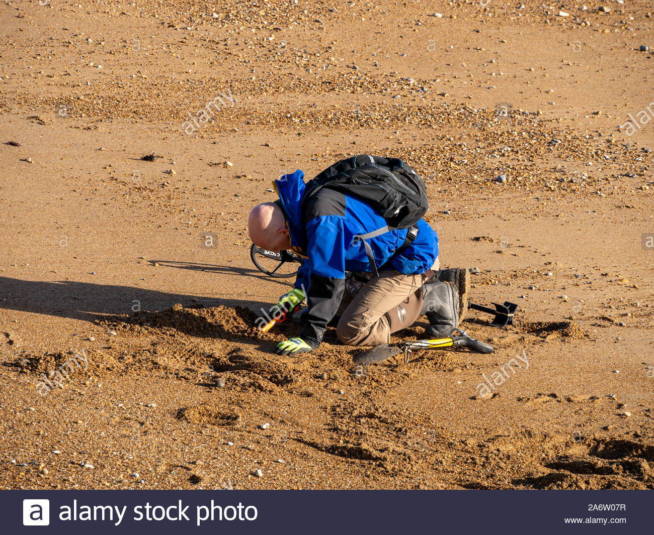 Metal Detectorist High Resolution Stock Photography and Images Alamy