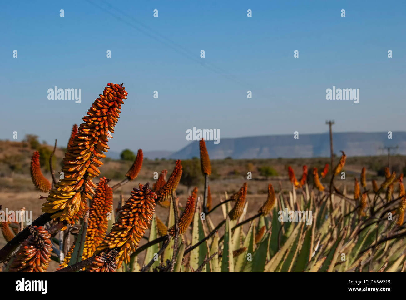 The rural landscape of KwaZulu Natal in South Africa Stock Photo - Alamy