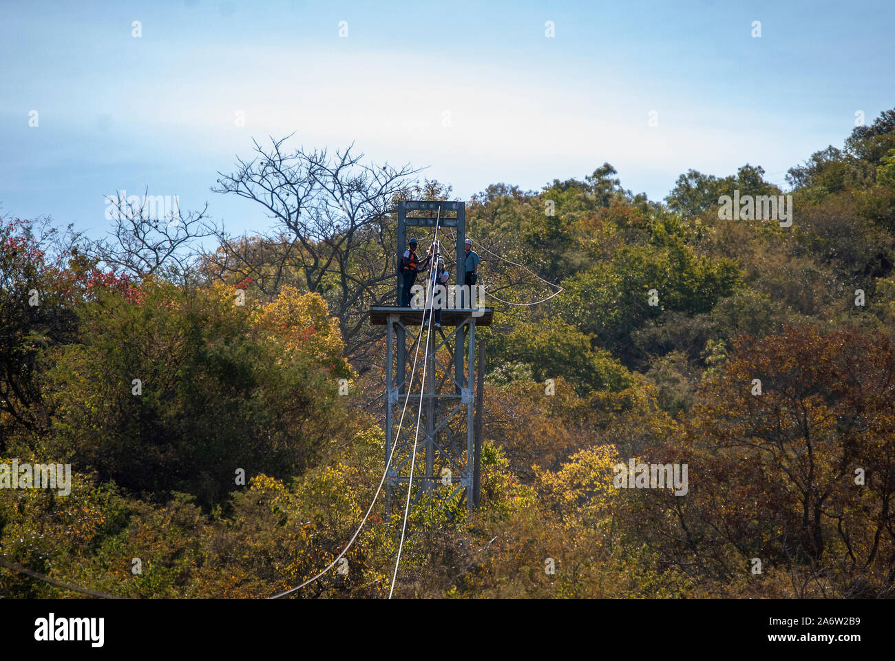 Zip lines over the tree canopy in Mpumalanga, South Africa Stock Photo