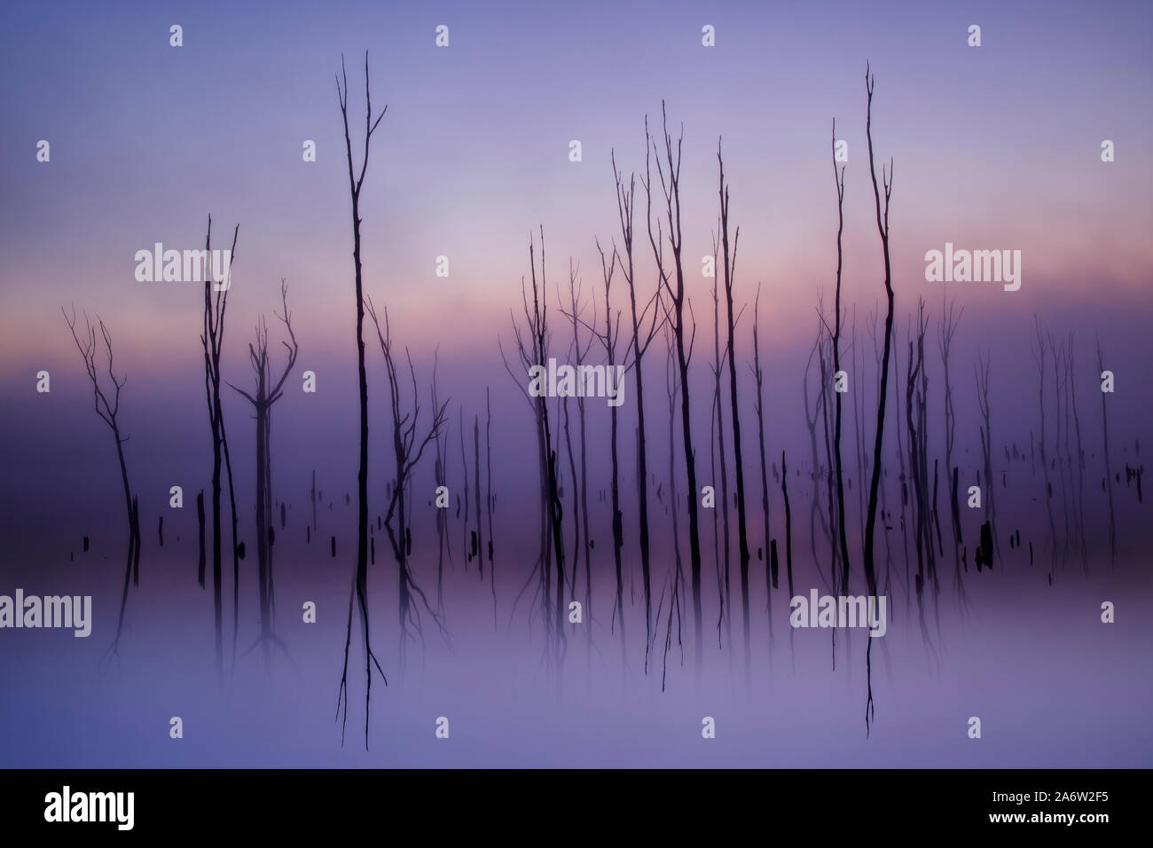 Manasquan reservoir hires stock photography and images Alamy