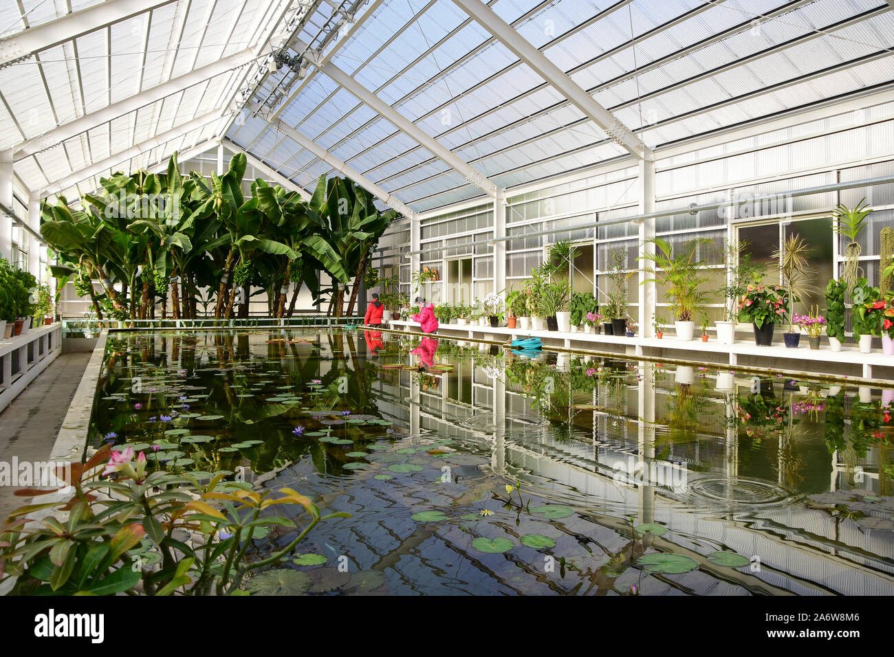 Japan greenhouse hi-res stock photography and images - Alamy