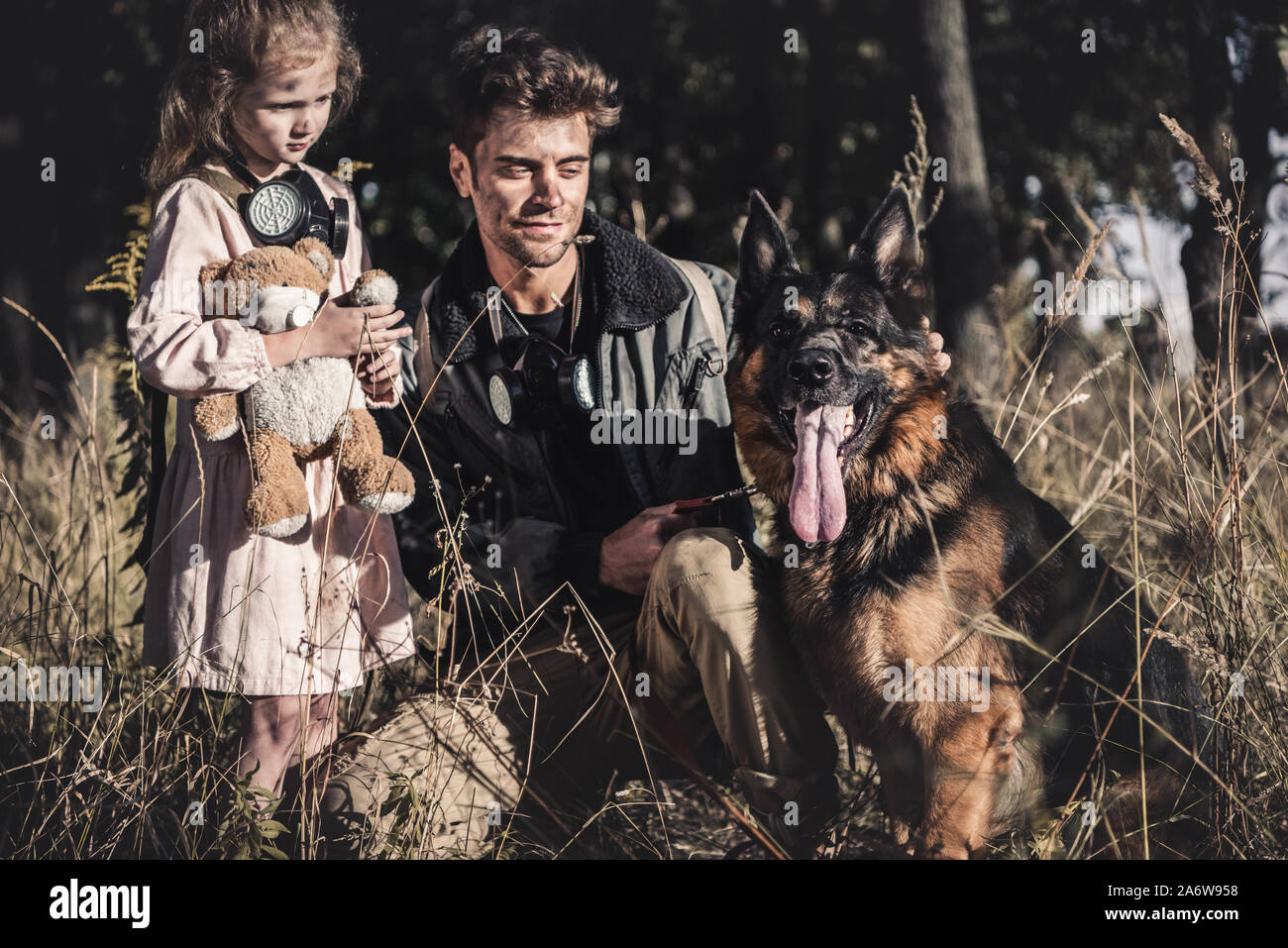 teddy bear german shepherd