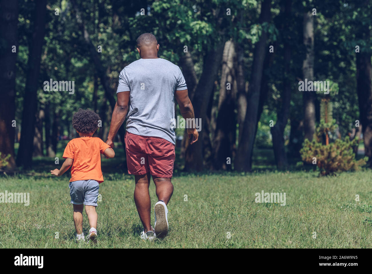 back view of african american father and son holding hands while ...