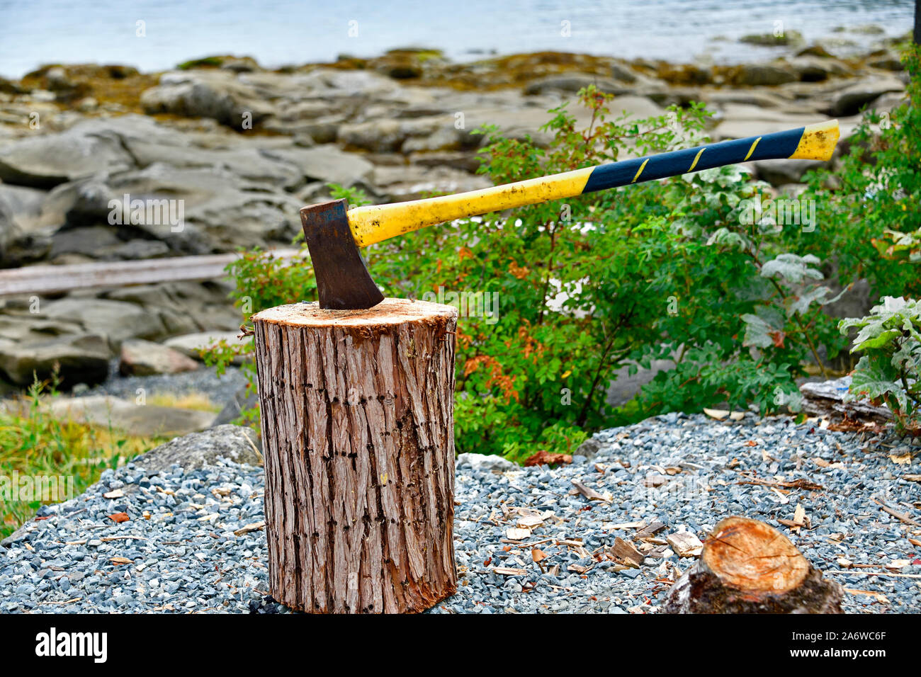 An axe with a yellow and black handle stuck in a piece of tree trunk that was used as a splitting block on the shore of Vancouver Island British Colum Stock Photo