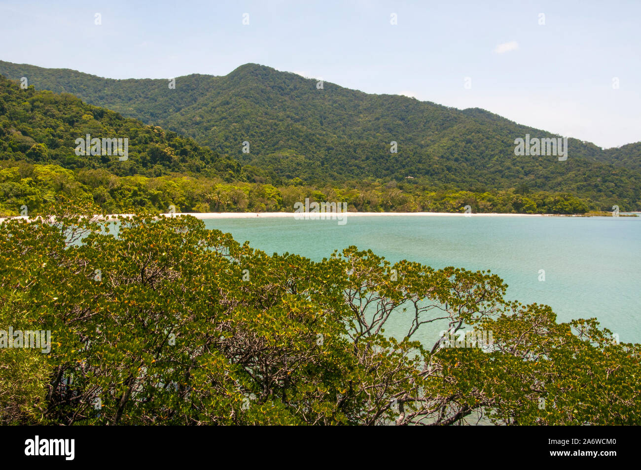 Beach at Cape Tribulation in the Daintree National Park, a World Heritage area in tropical North Queensland, Australia Stock Photo