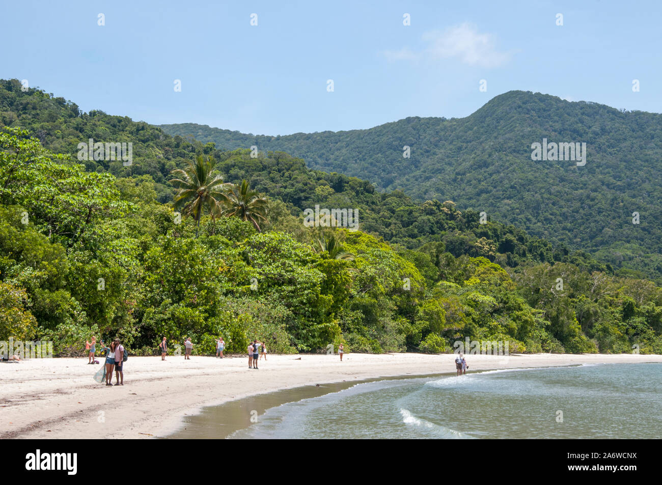 Beach at Cape Tribulation in the Daintree National Park, a World Heritage area in tropical North Queensland, Australia Stock Photo