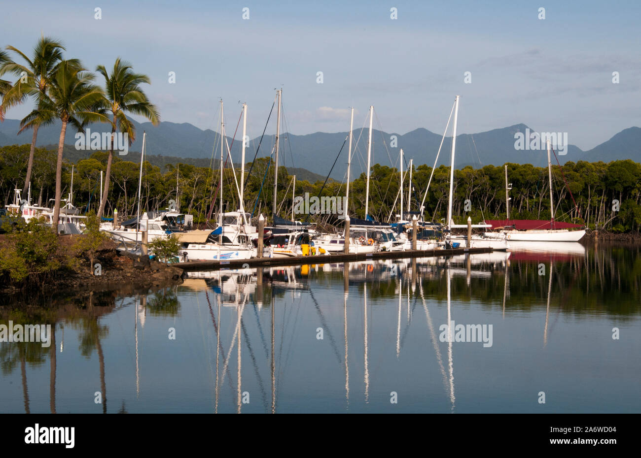 Early morning light at the Marina on Dickson's Inlet, Port Douglas, an upscale tourist destination in tropical North Queensland, Australia Stock Photo