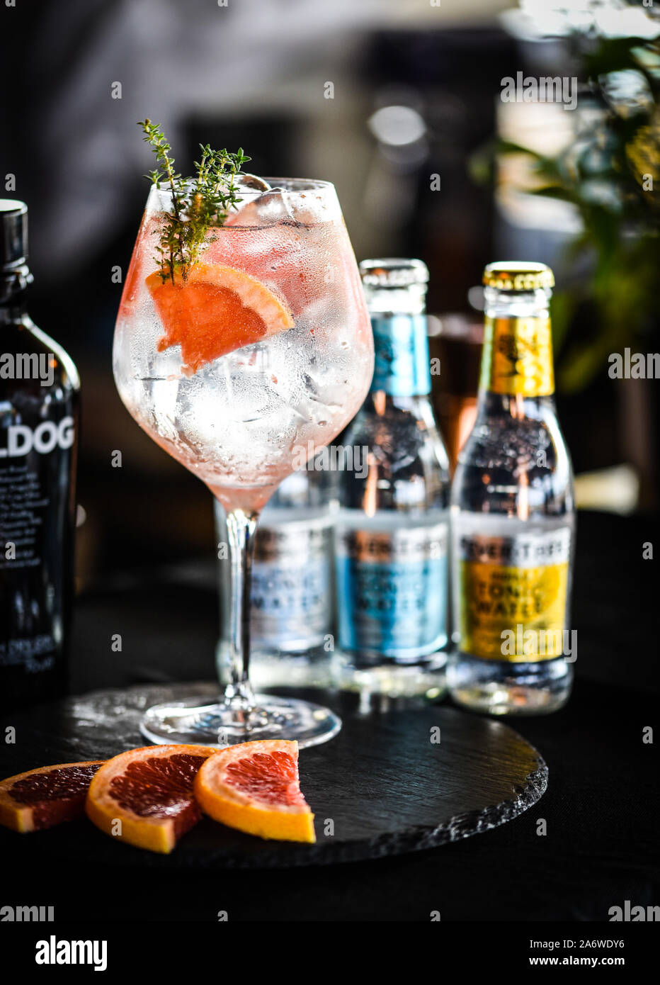 fresh gin tonic beverage with fruits & spices Stock Photo