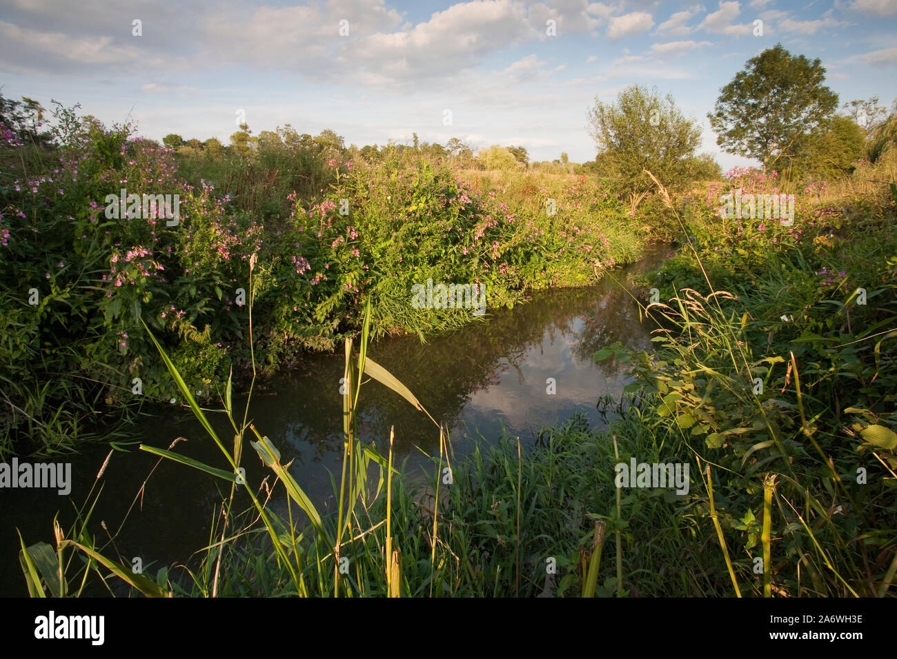 RIVER OUSE, Scaynes Hill, West Sussex, UK. August Stock Photo