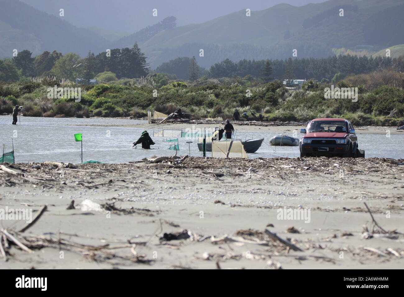 Whitebait fishing at Kapiti Stock Photo