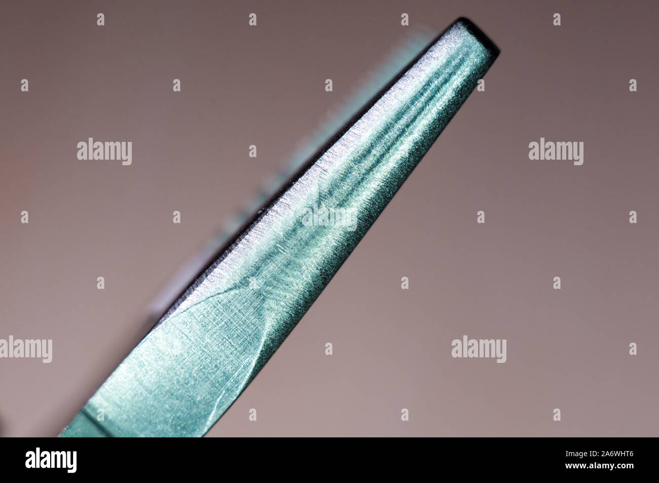 elements small foldable steel multitool, closeup, macro Stock Photo
