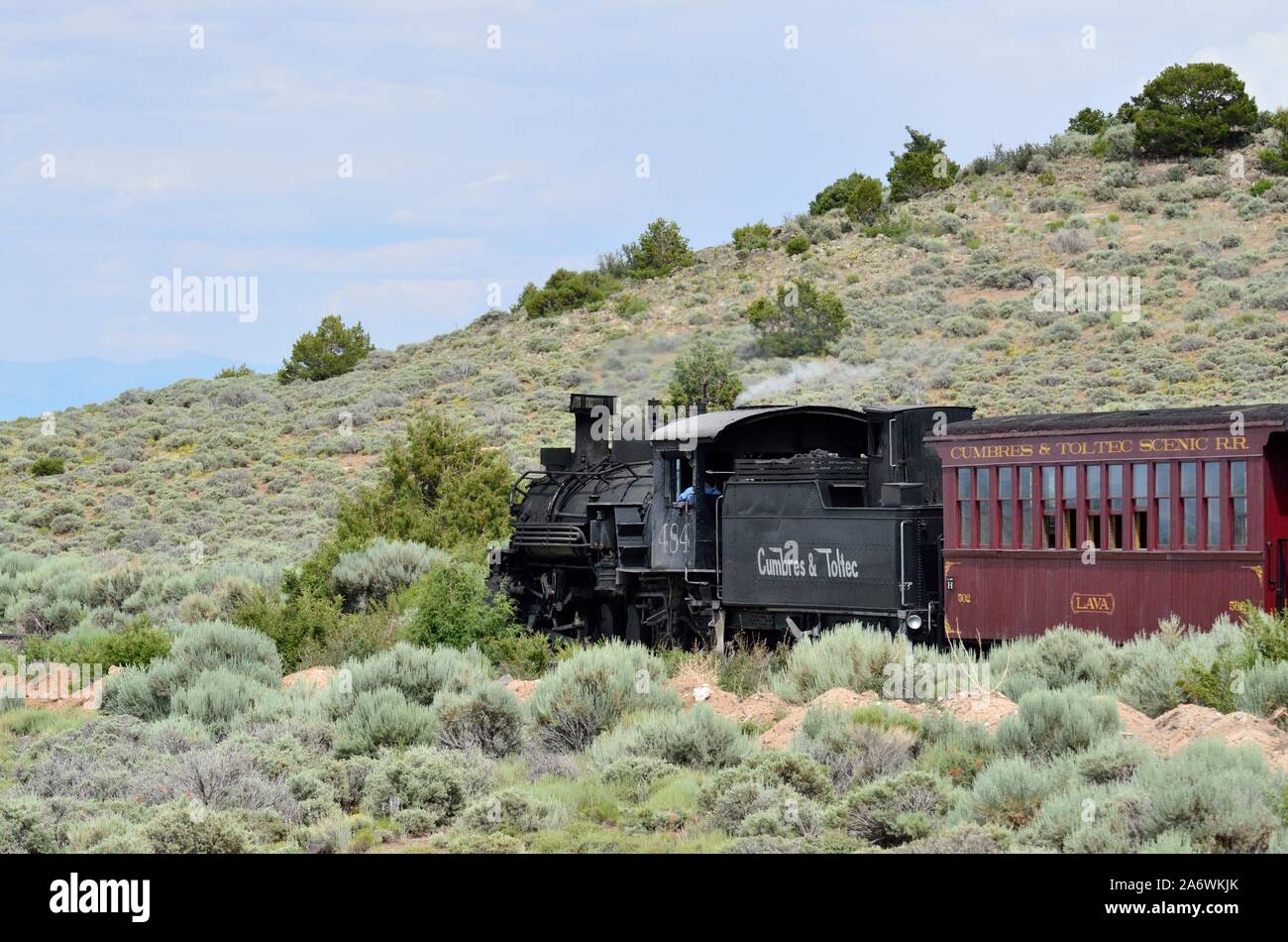 Rabbitbrush or Chamisa (Chrysothamnus nauseous), Sublette to Antonito, On the Cumbres & Toltec Scenic Railroad from Chama, NM to Antonito, CO 190712 7 Stock Photo