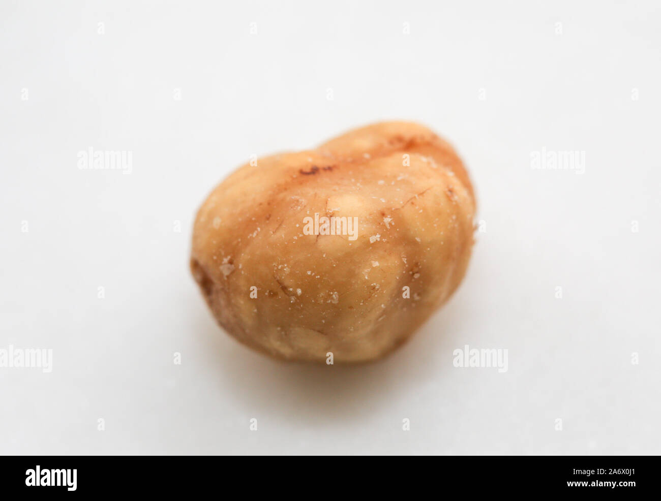 Sugar roasted hazelnut isolated on white background Clipping Path - Image Stock Photo