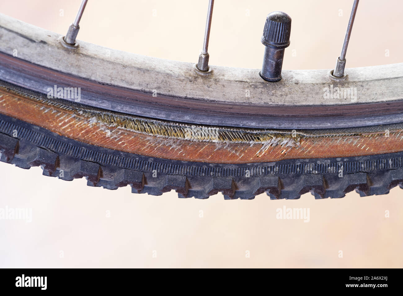 damaged bicycle tire sidewall with bulge from the pressure Stock Photo