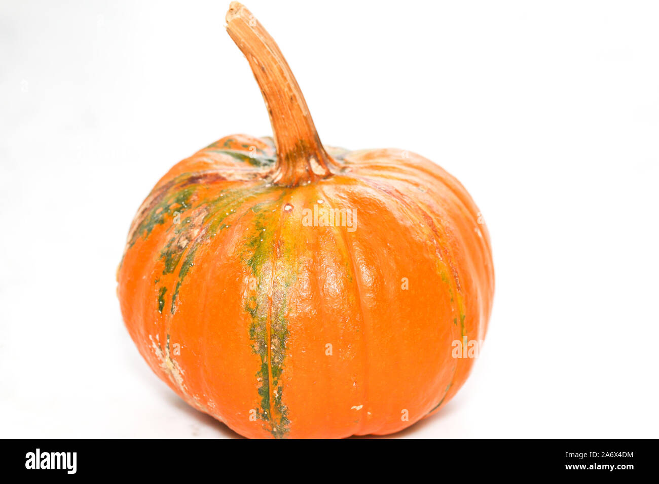 pumpkin isolated on white background - Image Stock Photo - Alamy