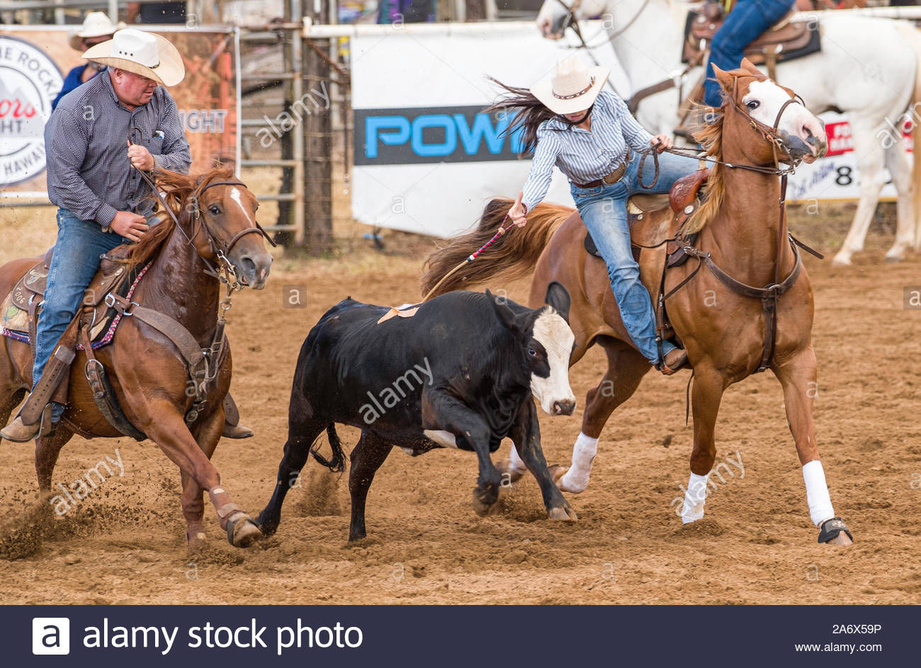 Oskie High Resolution Stock Photography and Images Alamy