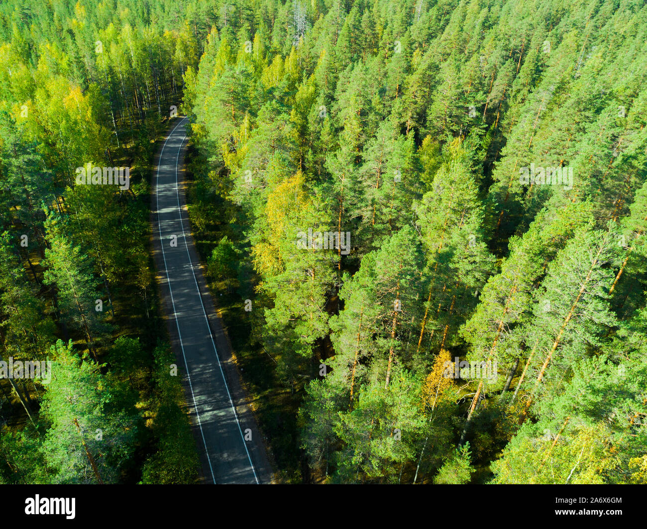 Aerial view of a country road in the forest with moving cars. Beautiful ...