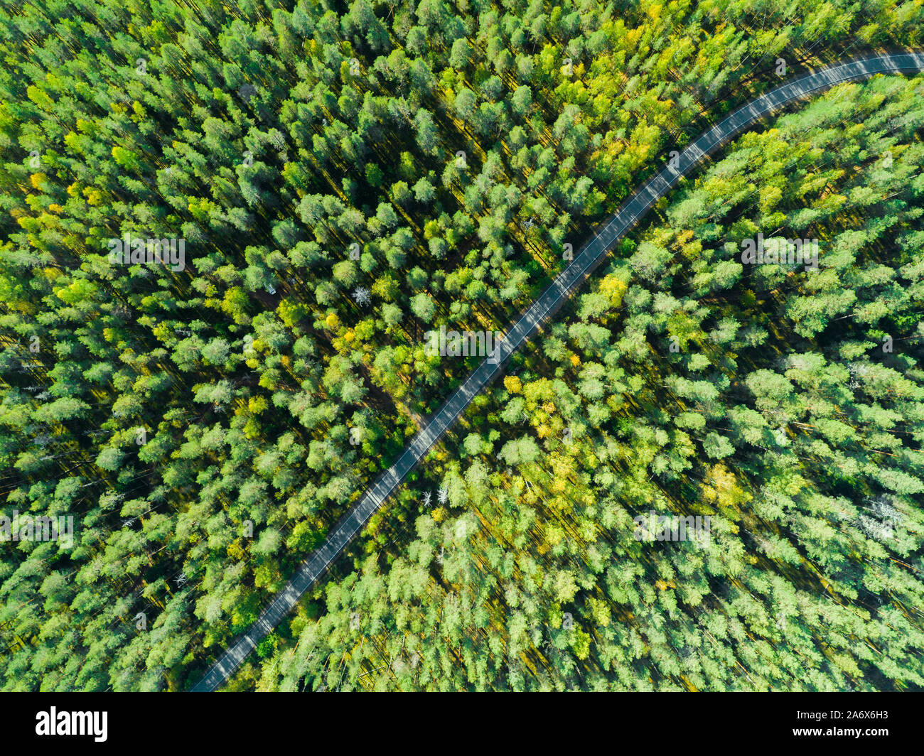 Aerial view of a country road in the forest with moving cars. Beautiful ...