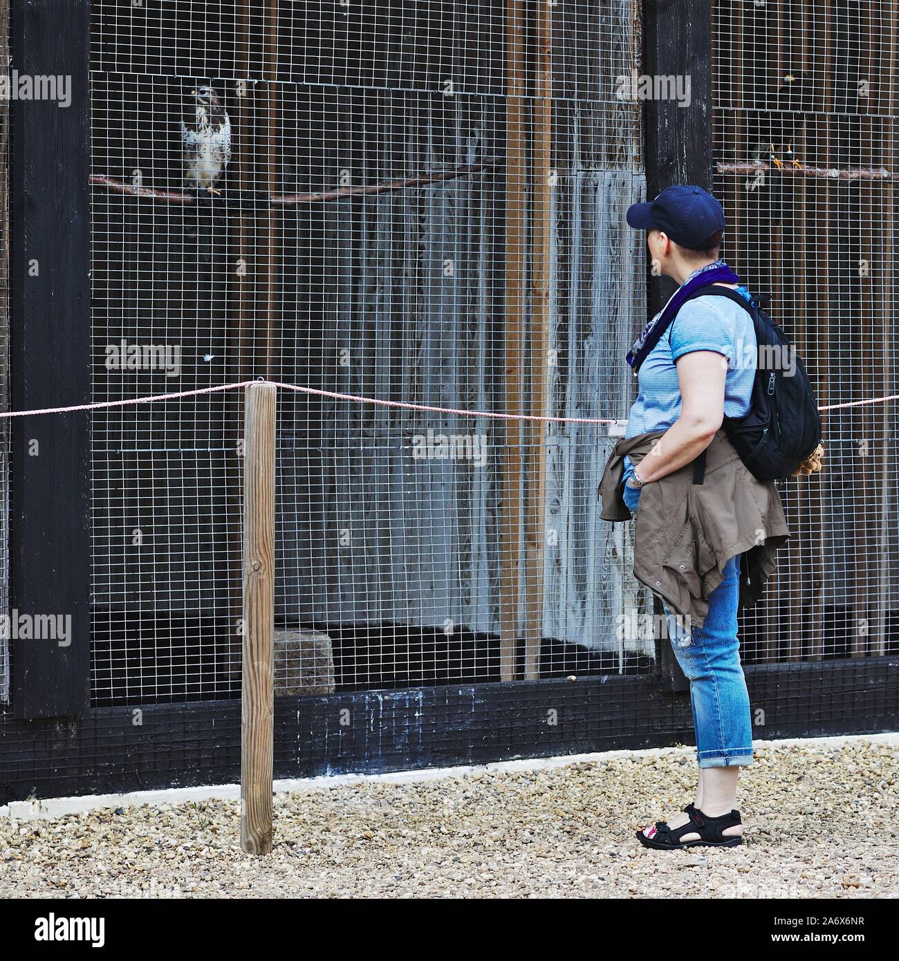 Mature woman in baseball hi-res stock photography and images - Alamy