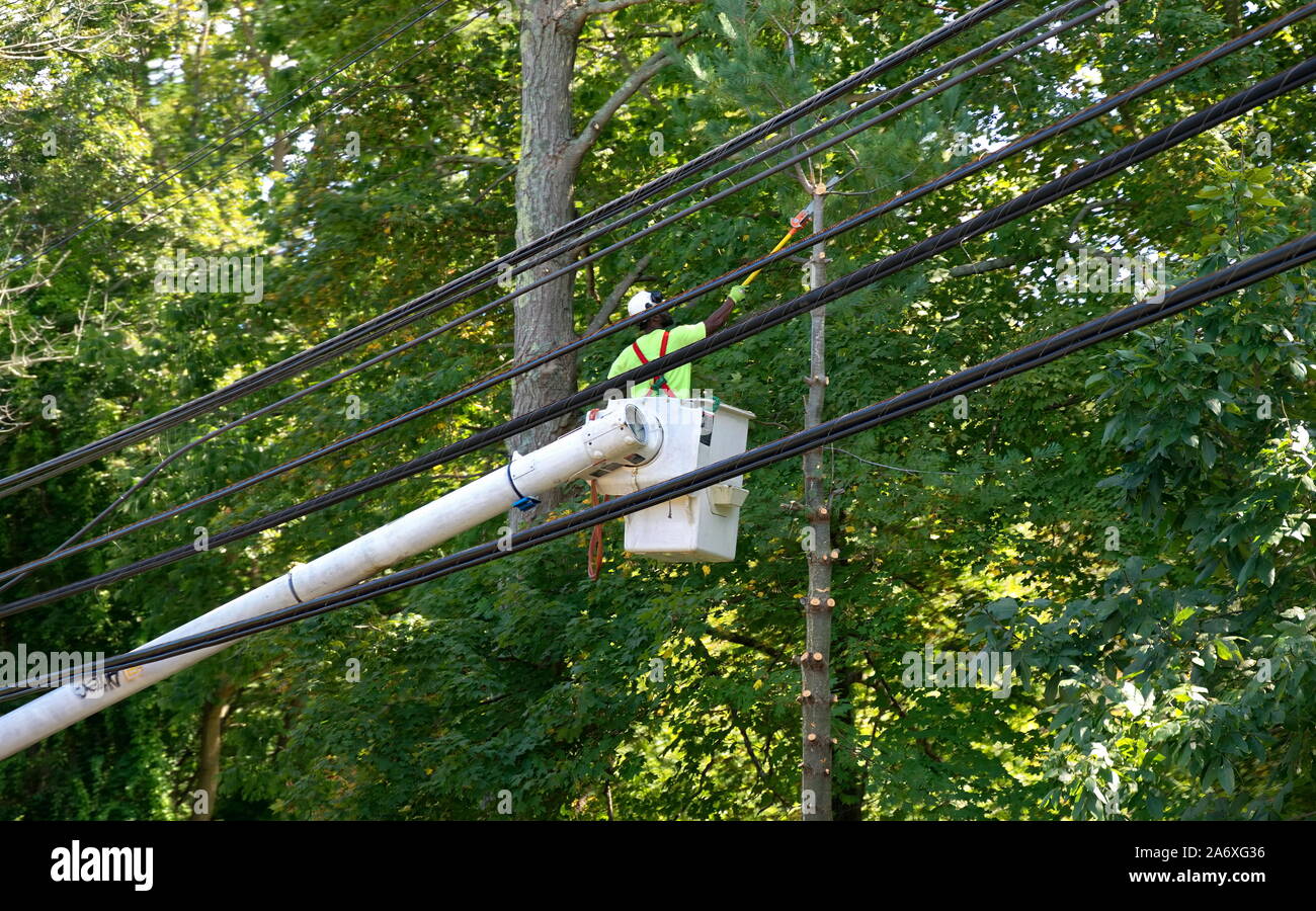 Tree trimming power lines hires stock photography and images Alamy