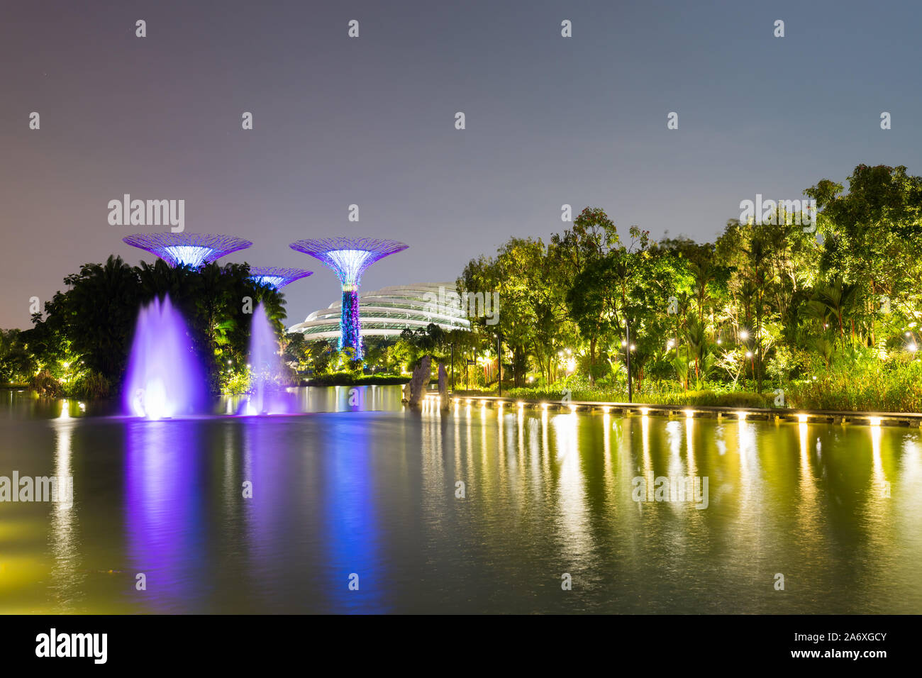 Beautiful Night Garden In Singapore And Supertree Grove Forest Illuminated At Night Gardens By The Bay Singapore City Stock Photo Alamy