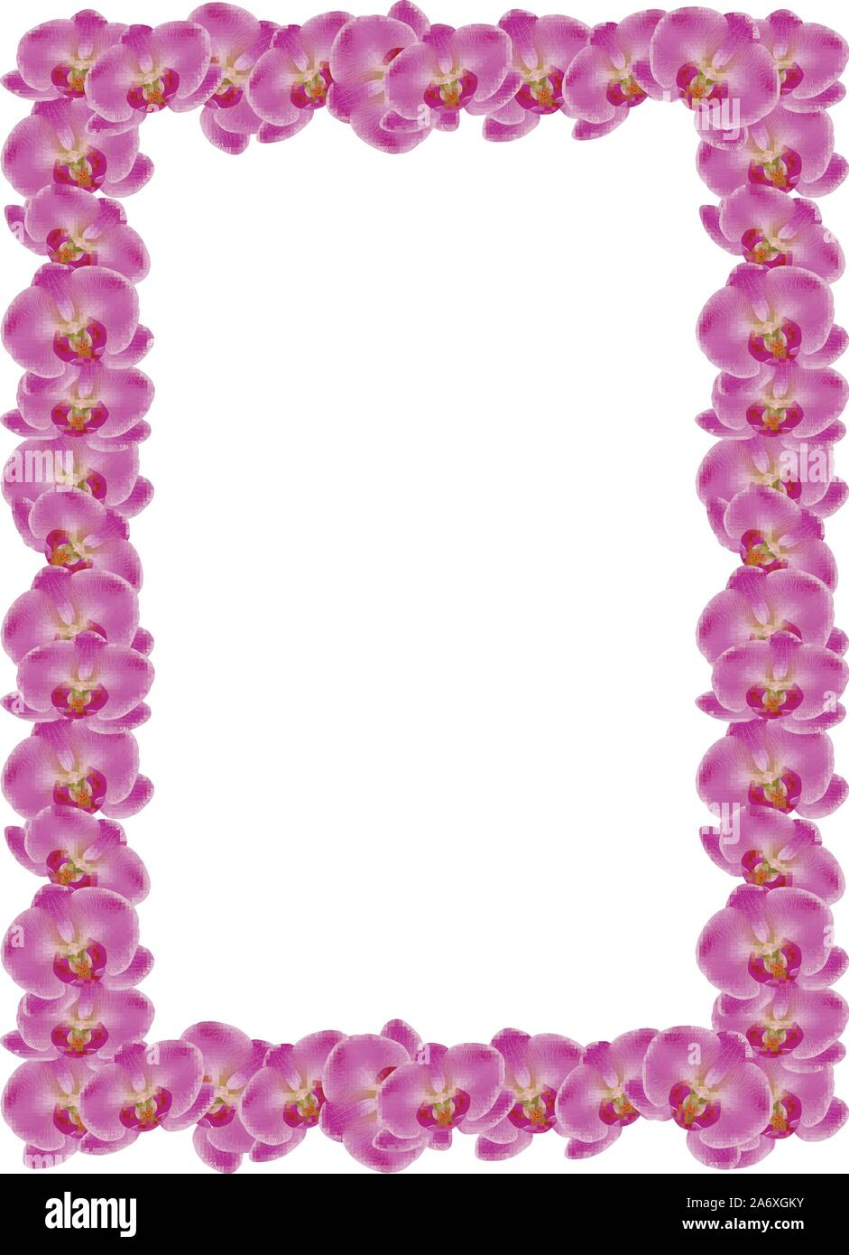 Illustration of pink orchid flower on white background Stock Vector ...