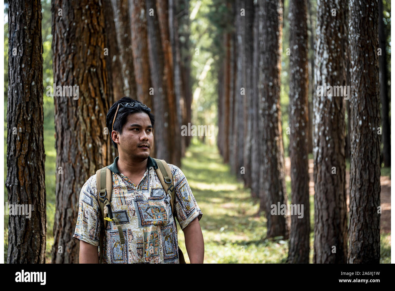 Young man hiking in tropical hi-res stock photography and images - Alamy