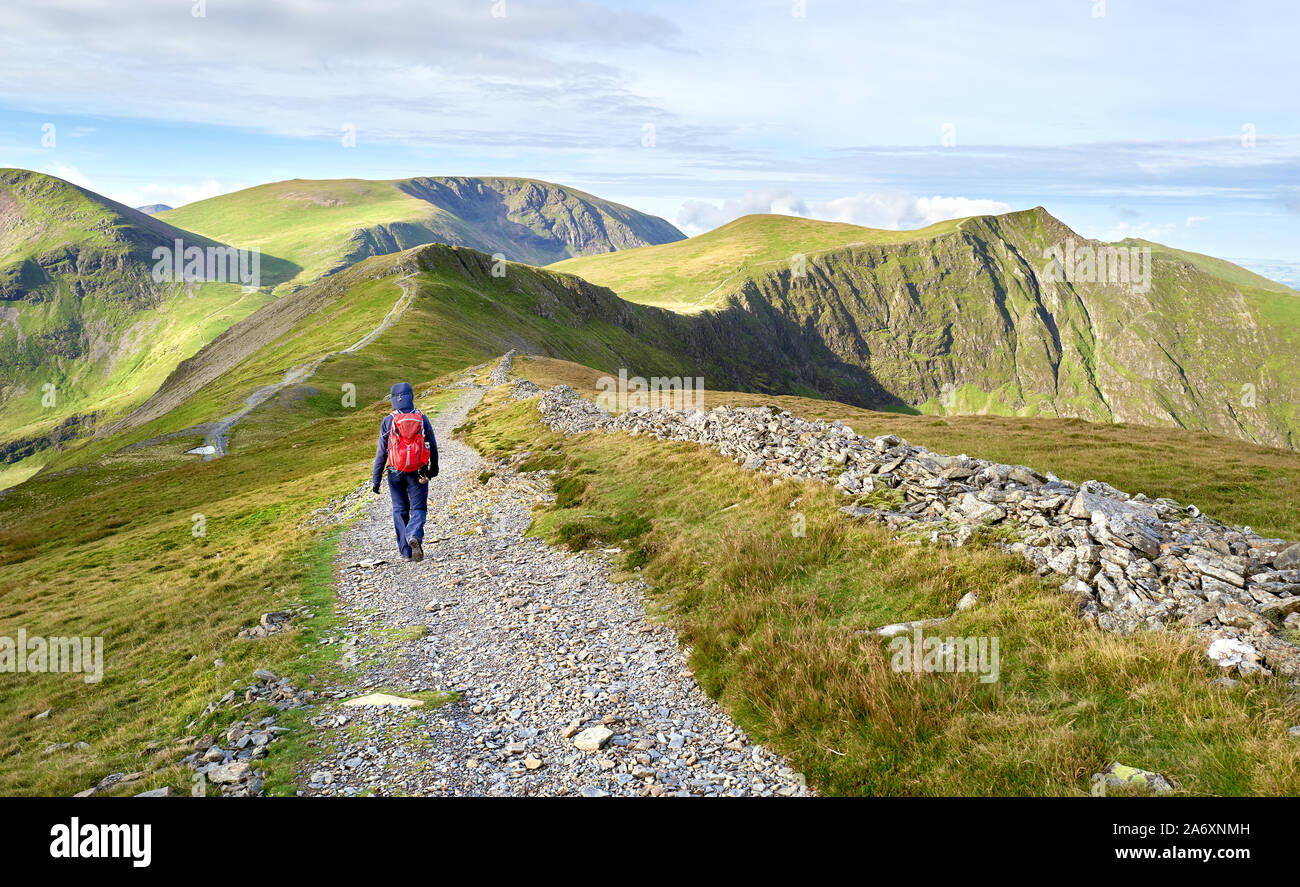 A hiker walking along a stone chip path on a mountain ridge towards the summits of Hobcarton and Hopegill Head in the Lake District, England, UK. Stock Photo