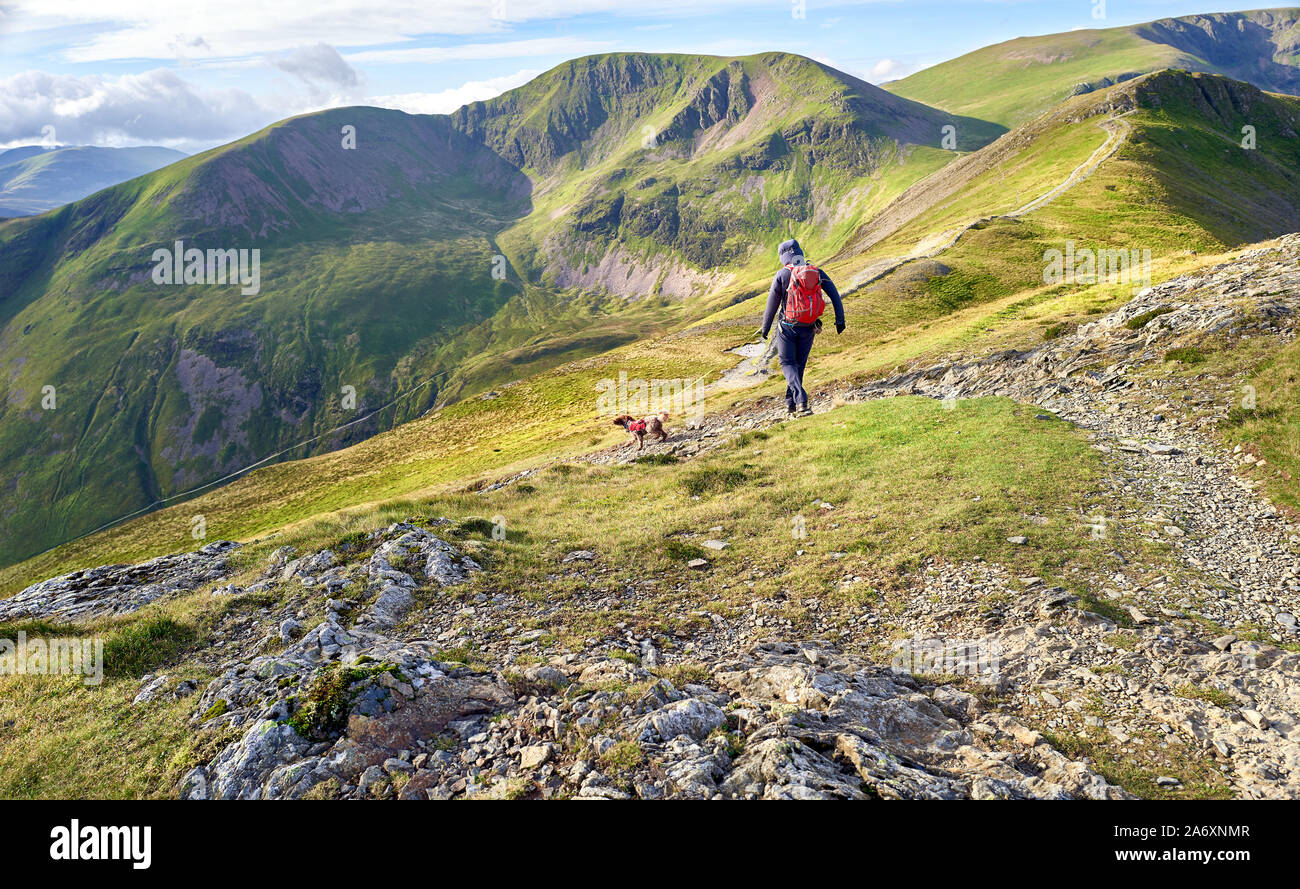 A hiker walking downhill from the summit of Grisedale Pike towards Hobcarton with the summits of Crag Hill an Sail in the distance In the Lake Distric Stock Photo