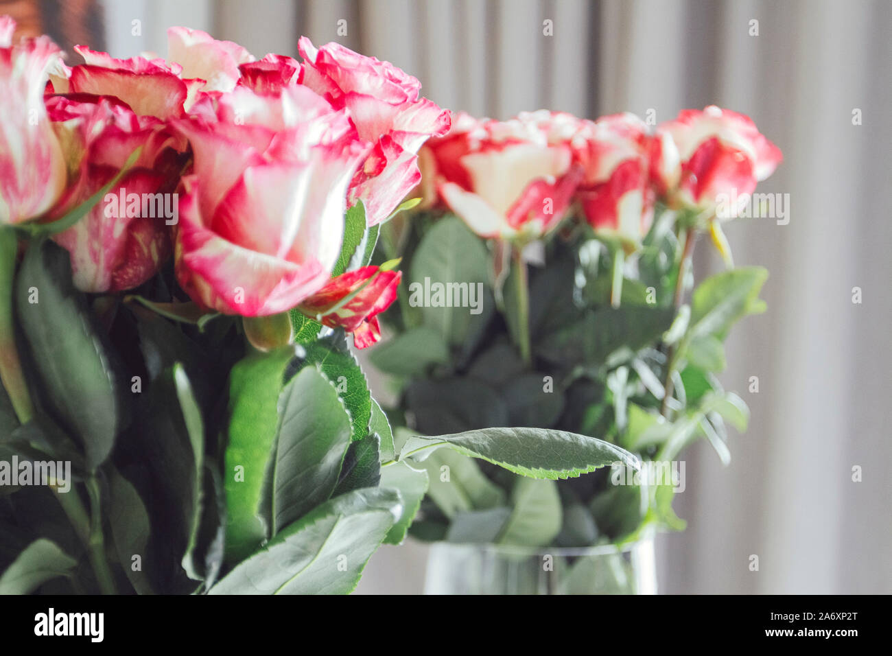 Bouquet of many roses Stock Photo - Alamy