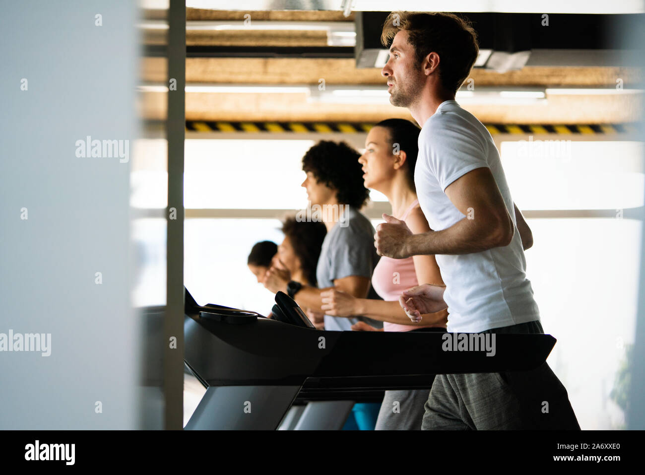 Group of young people running on treadmills in modern sport gym Stock ...