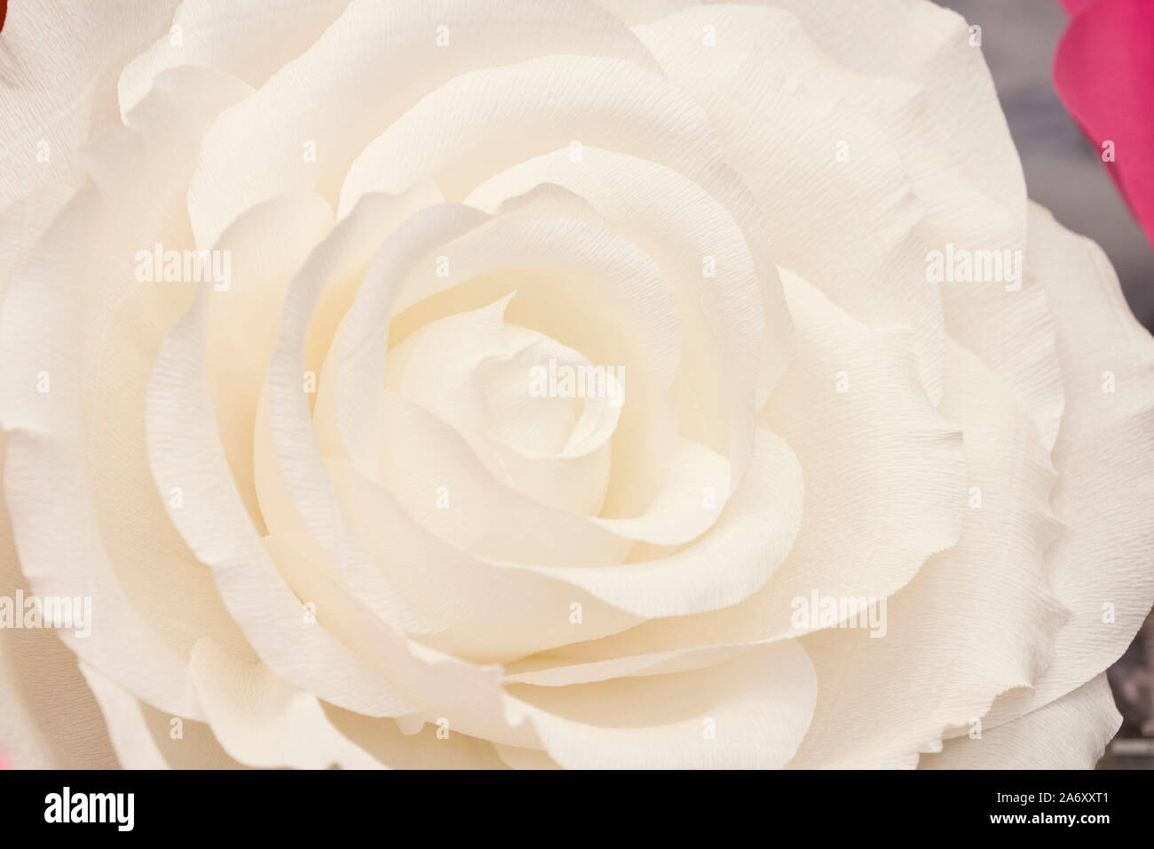 Artificial paper flowers made by hand. Beautiful decor Stock Photo Alamy