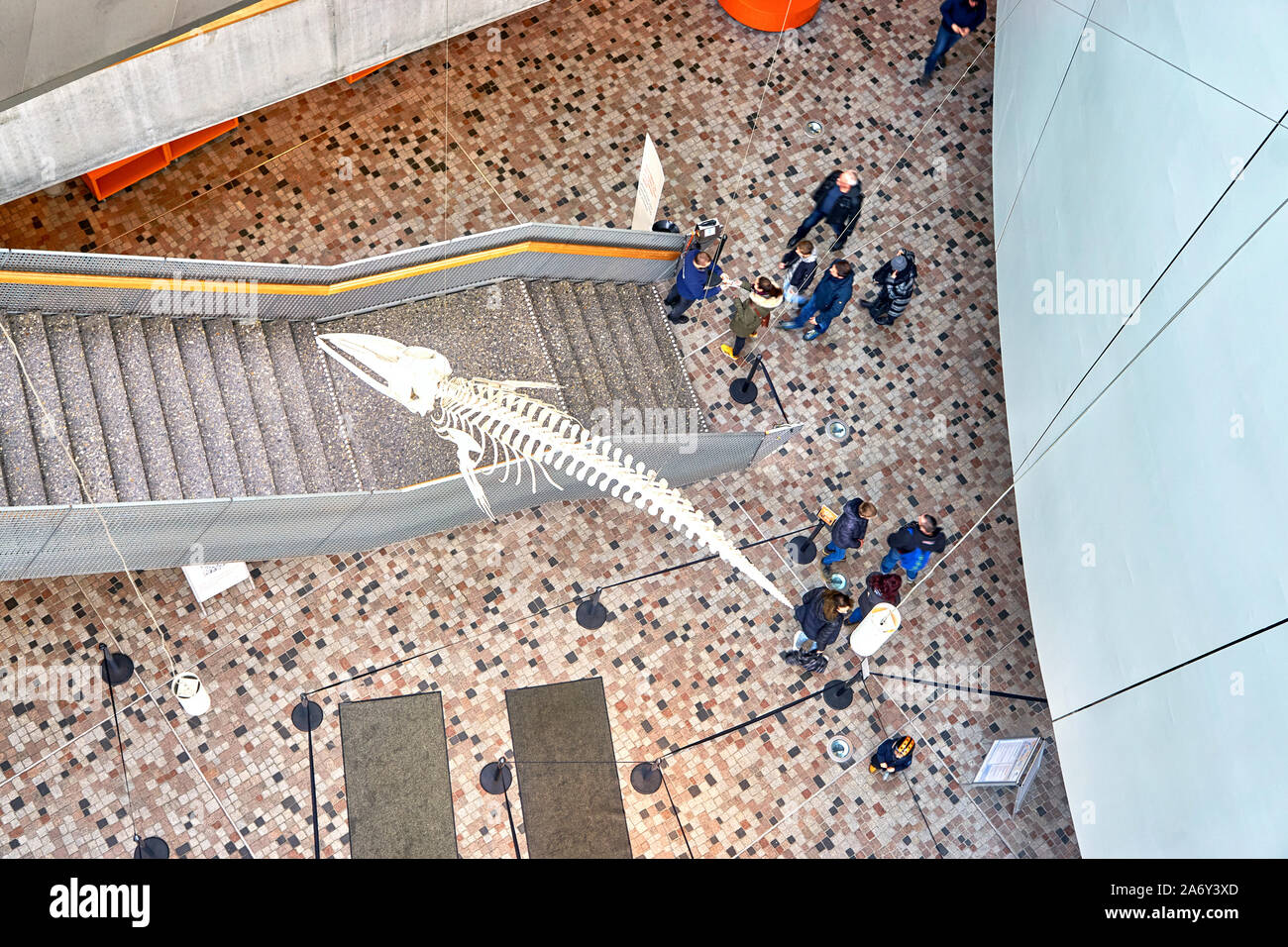 Entrance hall with escalator in a museum from above Stock Photo - Alamy