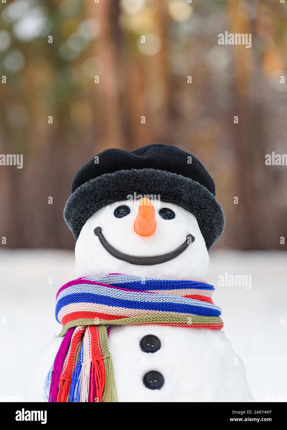 Portrait of a fabulous snowman with a cute smile Stock Photo