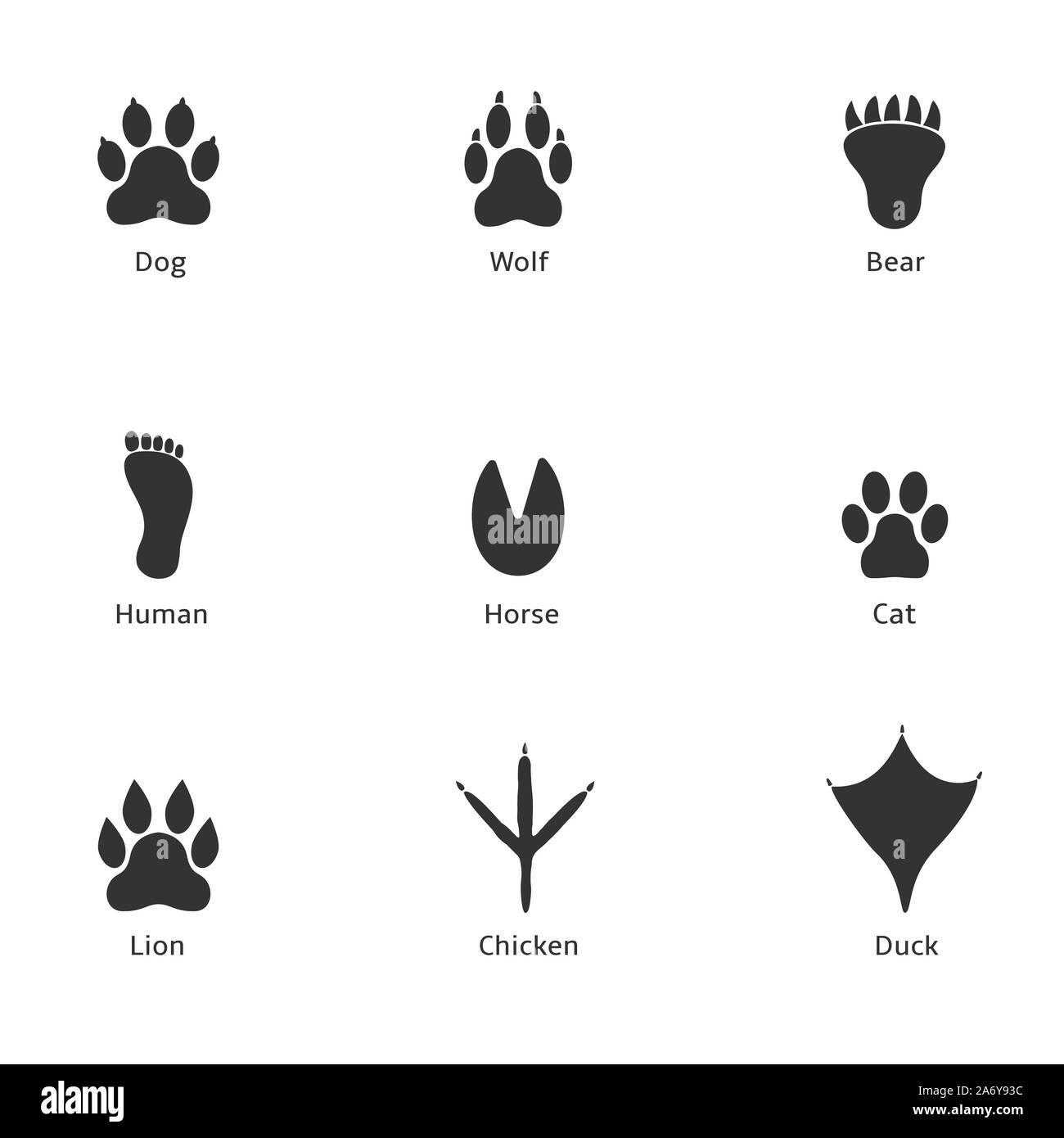 Paw print icon. Dog wolf bear human horse cat lion chicken duck prints Stock Vector