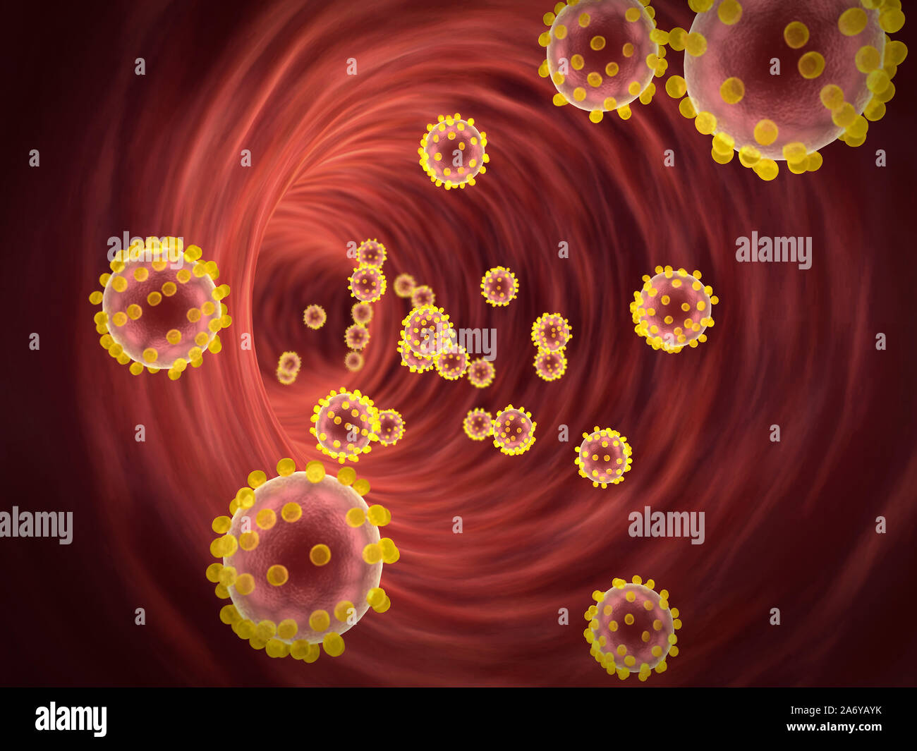 drugs inside the blood vessel, insulin and leukocytes inside the blood