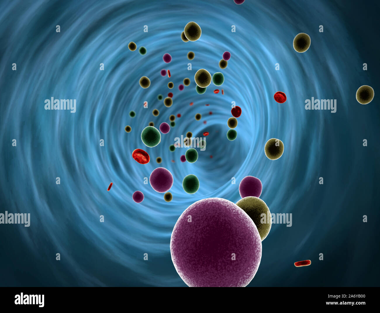drugs inside the blood vessel, insulin and leukocytes inside the blood