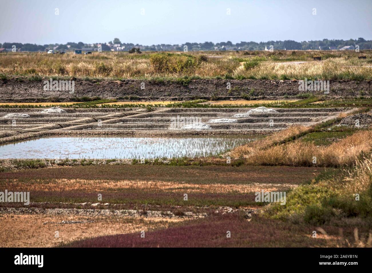 Bis heute wird in den Salzgärten zwischen Guérande und Atlantikküste Salz gewonnen. Das Fleur de Sel ist das Meersalz, das an heißen Tagen als dünne S Stock Photo