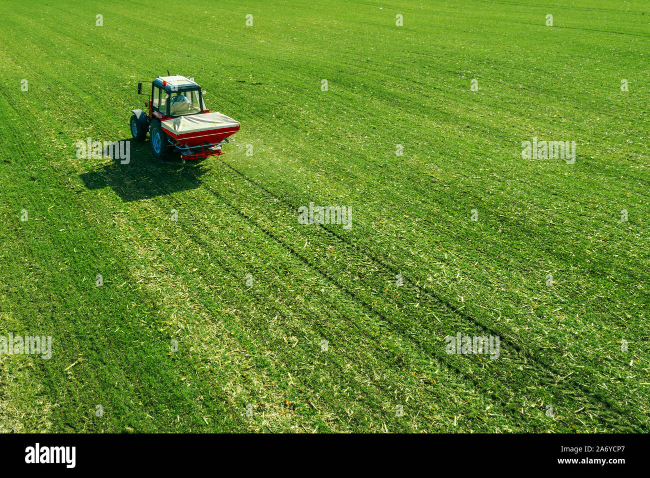 Unrecognizable farmer in agricultural tractor is fertilizing wheat crop field with NPK fertilizers, aerial view from drone pov Stock Photo