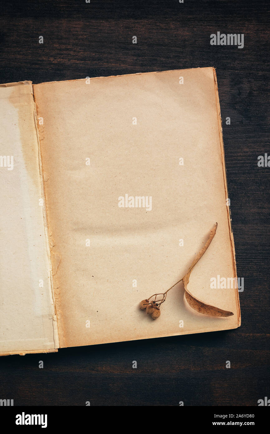 Vintage book blank pages mock up top view flat lay on dark wooden background Stock Photo