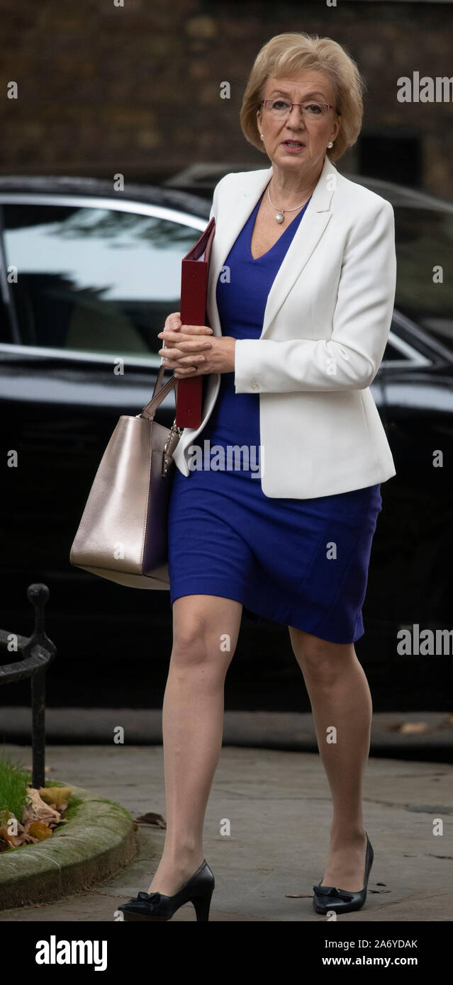 Downing Street, London, UK. 29th October 2019. Andrea Leadsom, Secretary of State for Business, Energy and Industrial Strategy, in Downing Street for weekly cabinet meetingDowning Street, London, UK. 29th October 2019.  Brandon Lewis, Minister of State for the Home Office in Downing Street for weekly cabinet meeting with Alun Cairns, Secretary of State for Wales. A general election date of 12th December is announced later in the day. Credit: Malcolm Park/Alamy Live News. Stock Photo